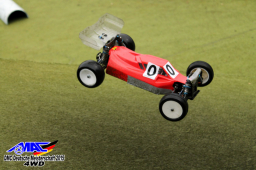 2015 DM 4WD Buggy 4WD Juni